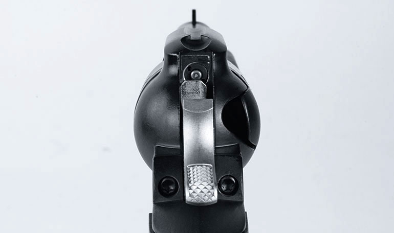 Ruger-Wrangler-Review-3.jpg