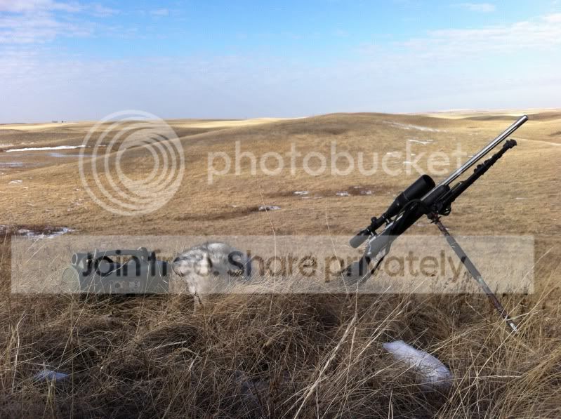 shootinghunting059.jpg