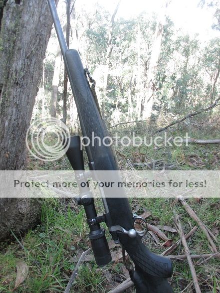 IMG_5809theWhelen.jpg~original