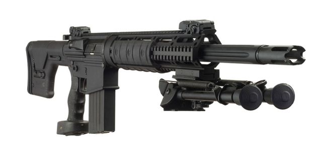 DPMS-SASS.jpg