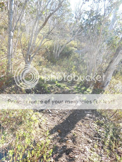 DSCN0781preech.jpg~original