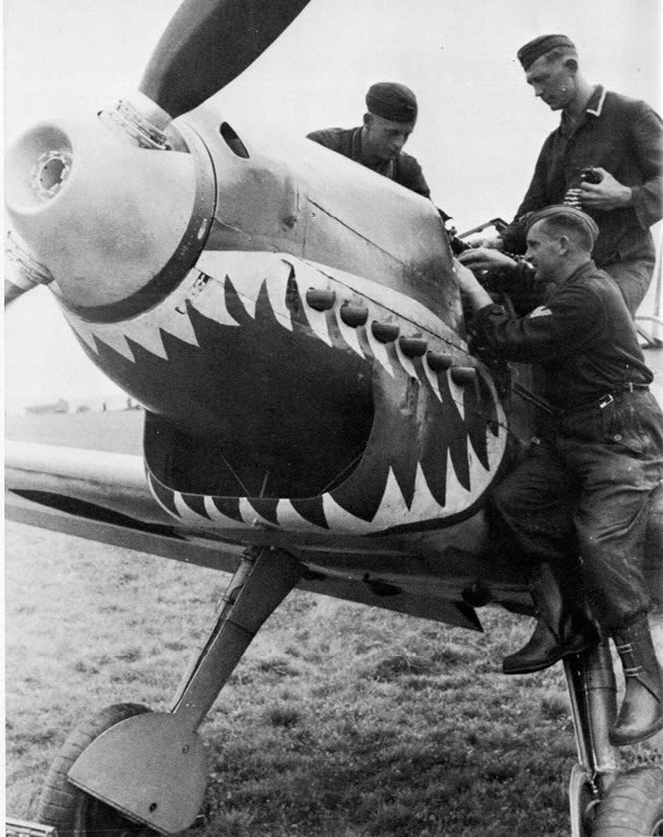9846_shark109.jpg