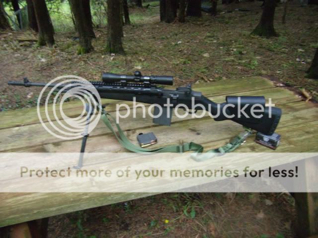 m14.jpg