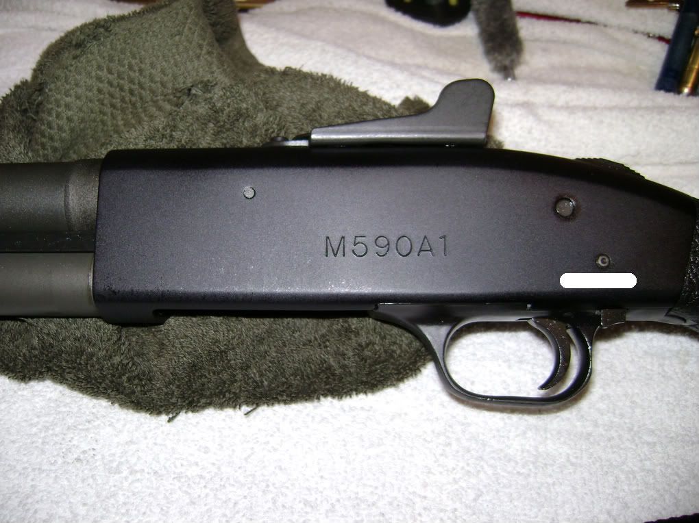 M590A1010.jpg