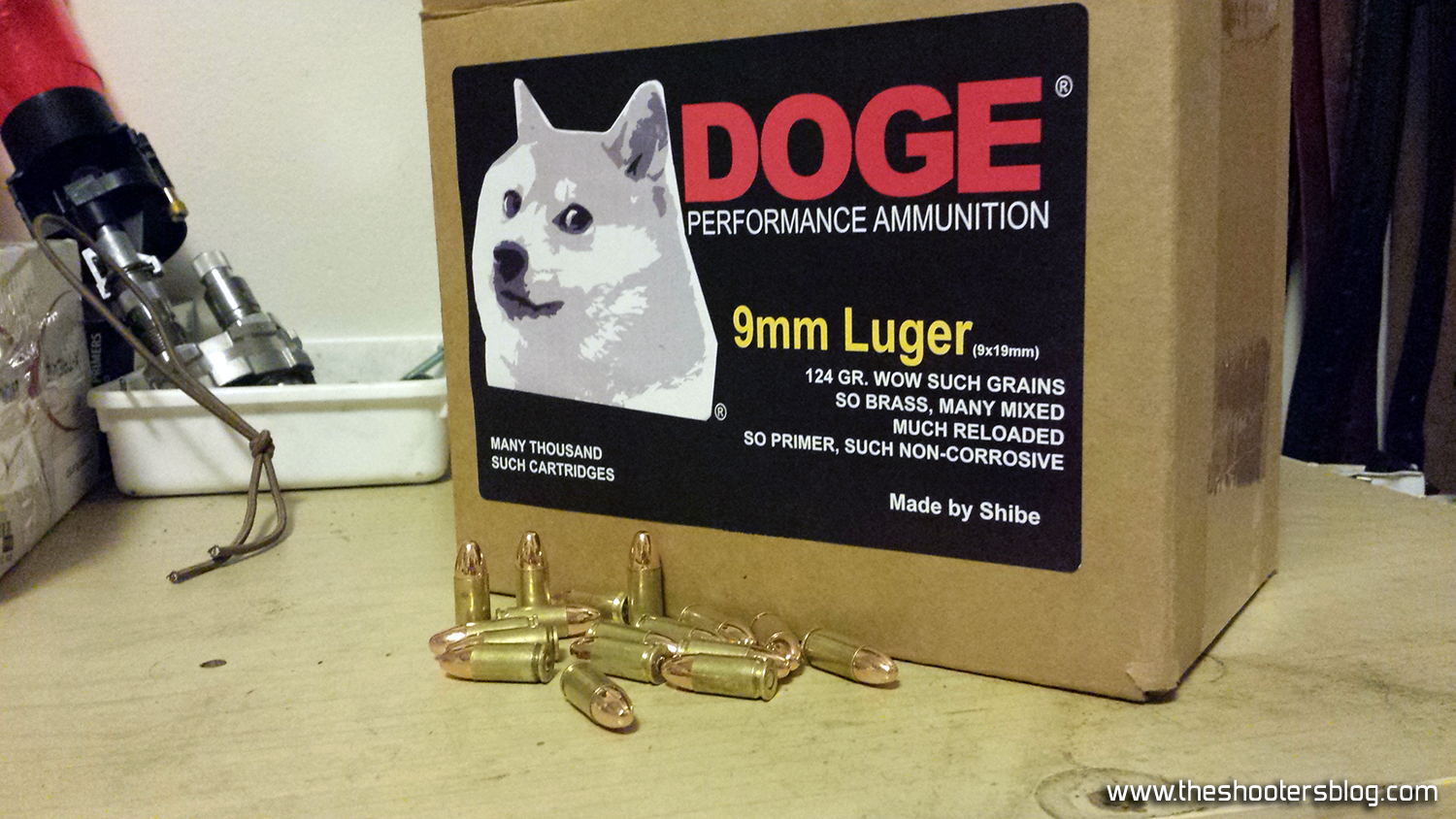 dog11.jpg