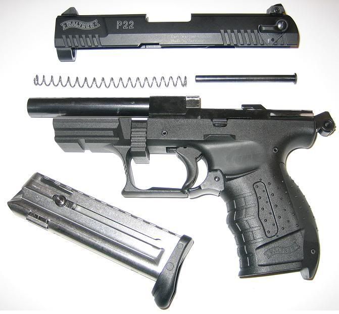 P22_fieldstrip.jpg