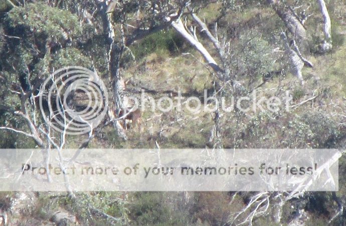 IMG_5465.jpg~original