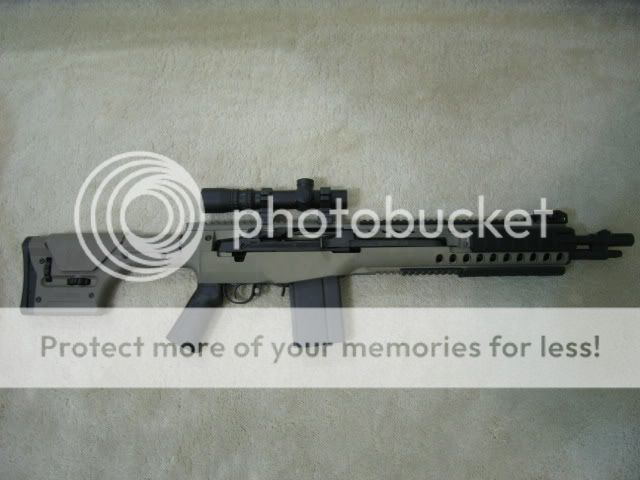 IMG_3732.jpg