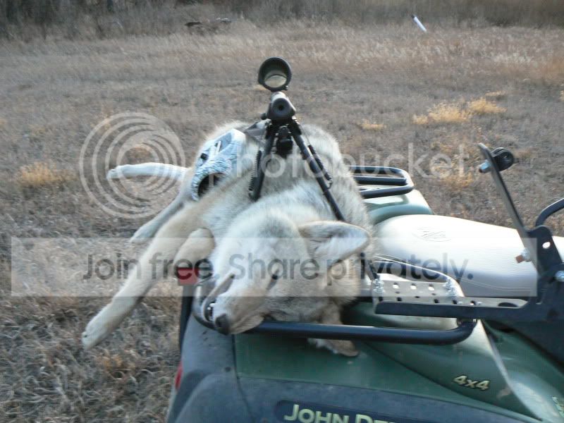 Yote1004.jpg