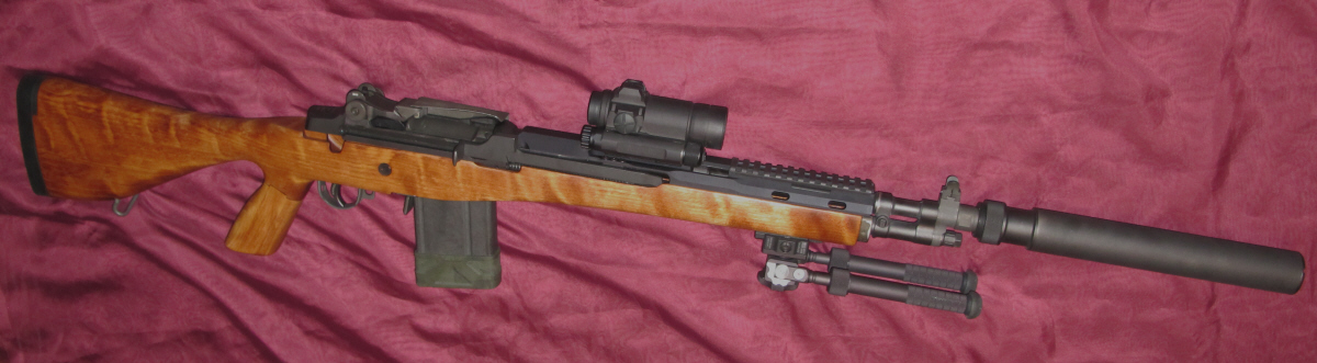 TE2-Suppressed.JPG