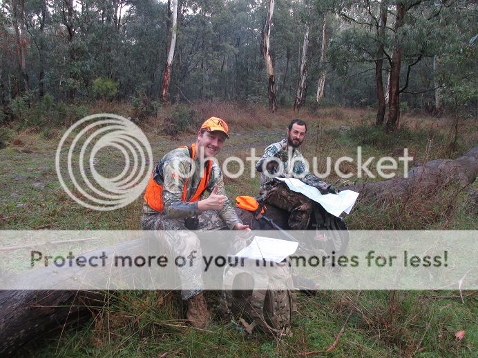 IMG_0980hilldogdave.jpg~original