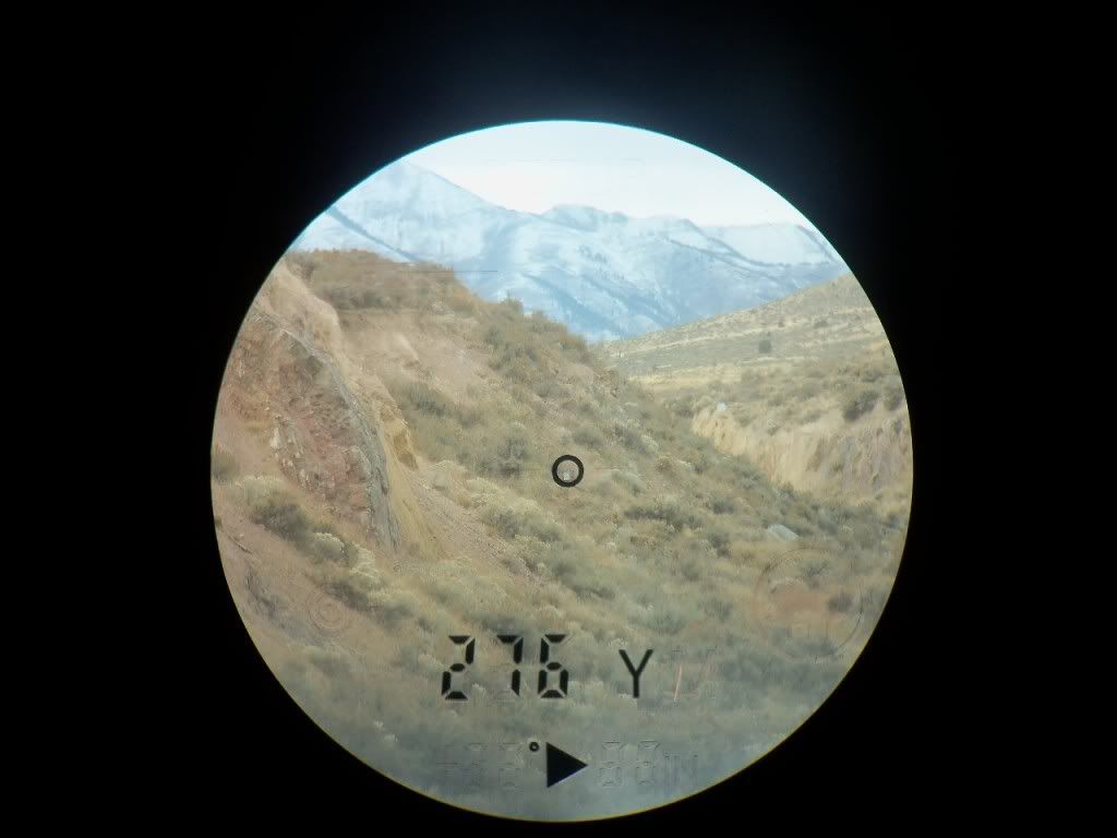 275.jpg