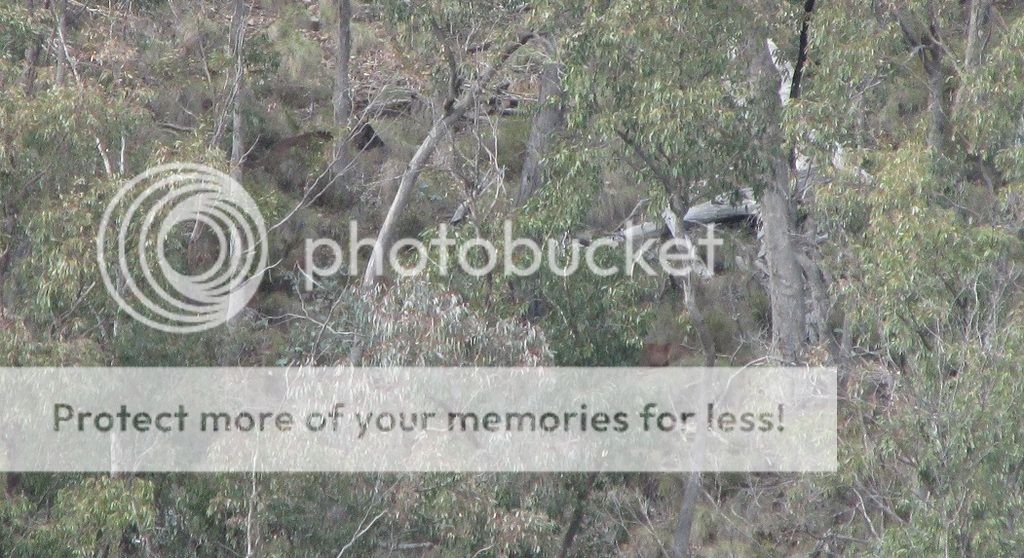 380mbedded.jpg~original