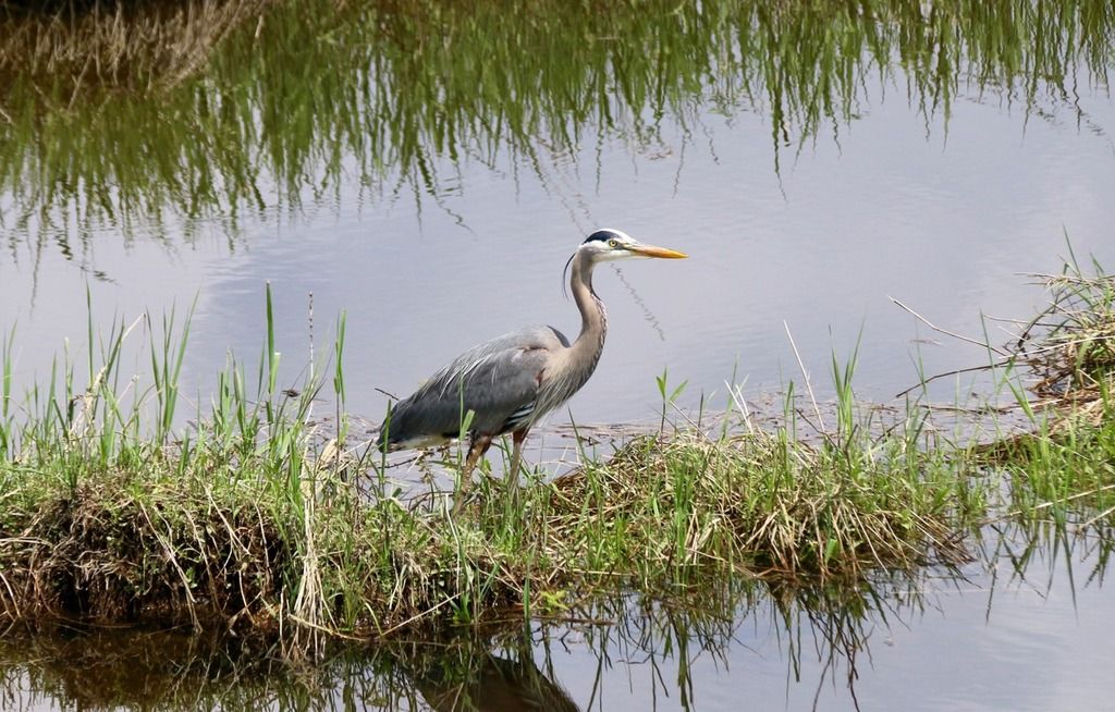 image_zpst0pvsfc5.jpeg~original