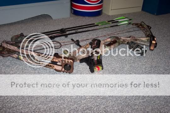 newbow001.jpg
