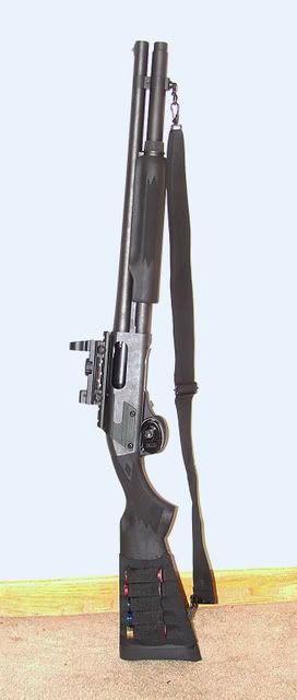 shotty1.jpg
