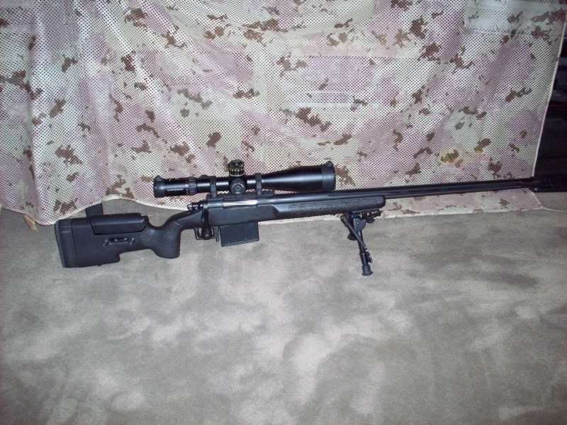 338LM1.jpg
