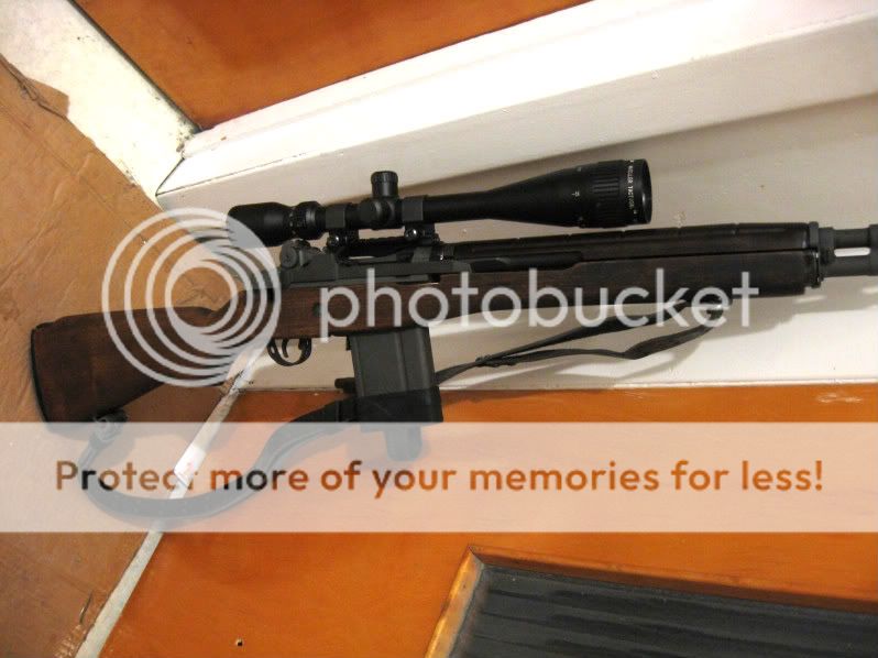 M14011.jpg
