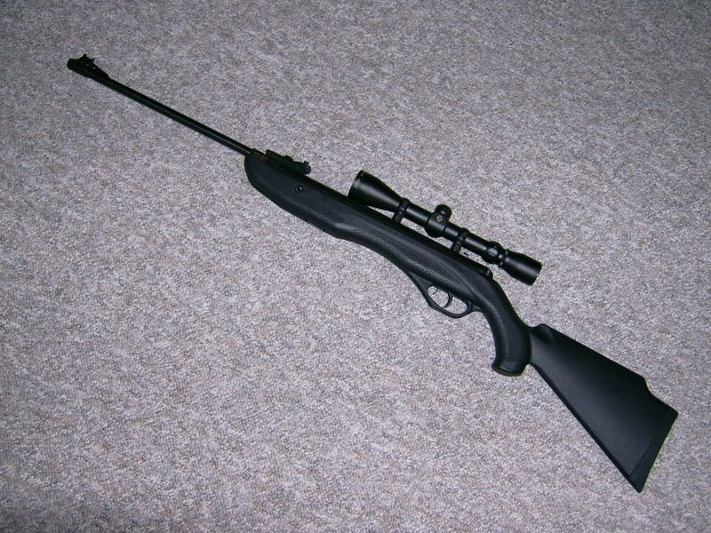 DSCI0122.jpg