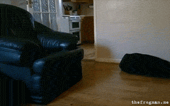 tumblr_lxsvu9fgjO1r93b1wo1_400.gif