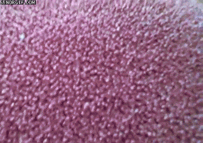 funny-gifs-whats-that-sound-below-my-chair.gif