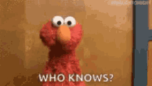 elmo-who-knows.gif