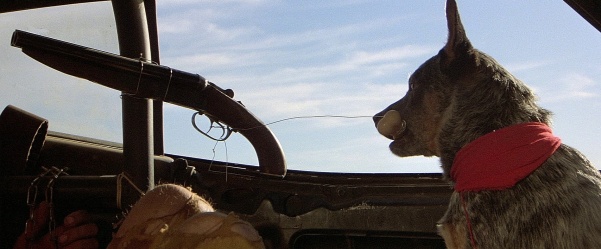601px-MM-DB-2.jpg