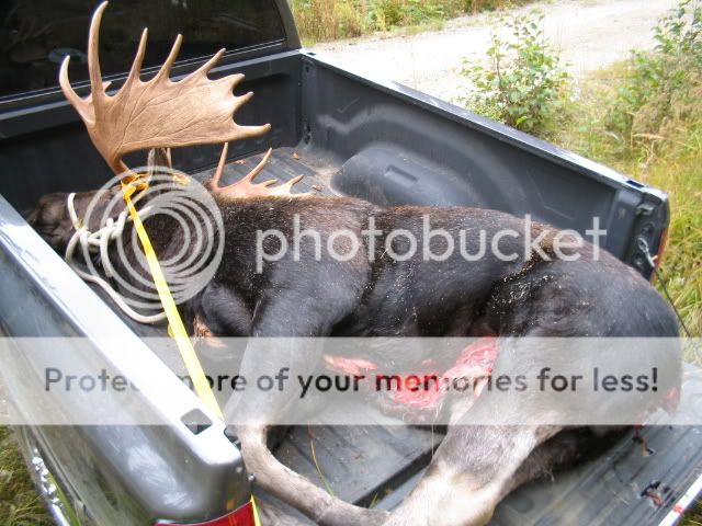 IMG_0464.jpg