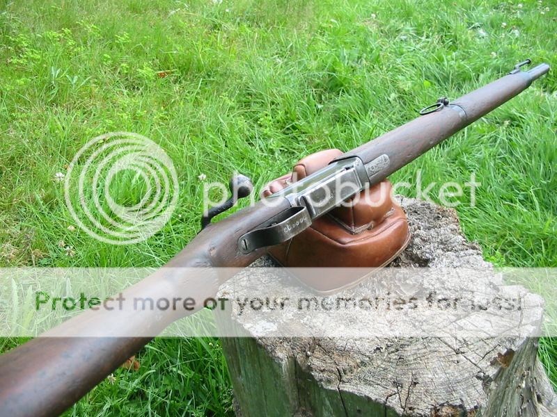 IMG_5565_zpsrhl6vt8p.jpg