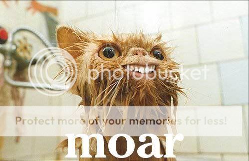moar-2.jpg