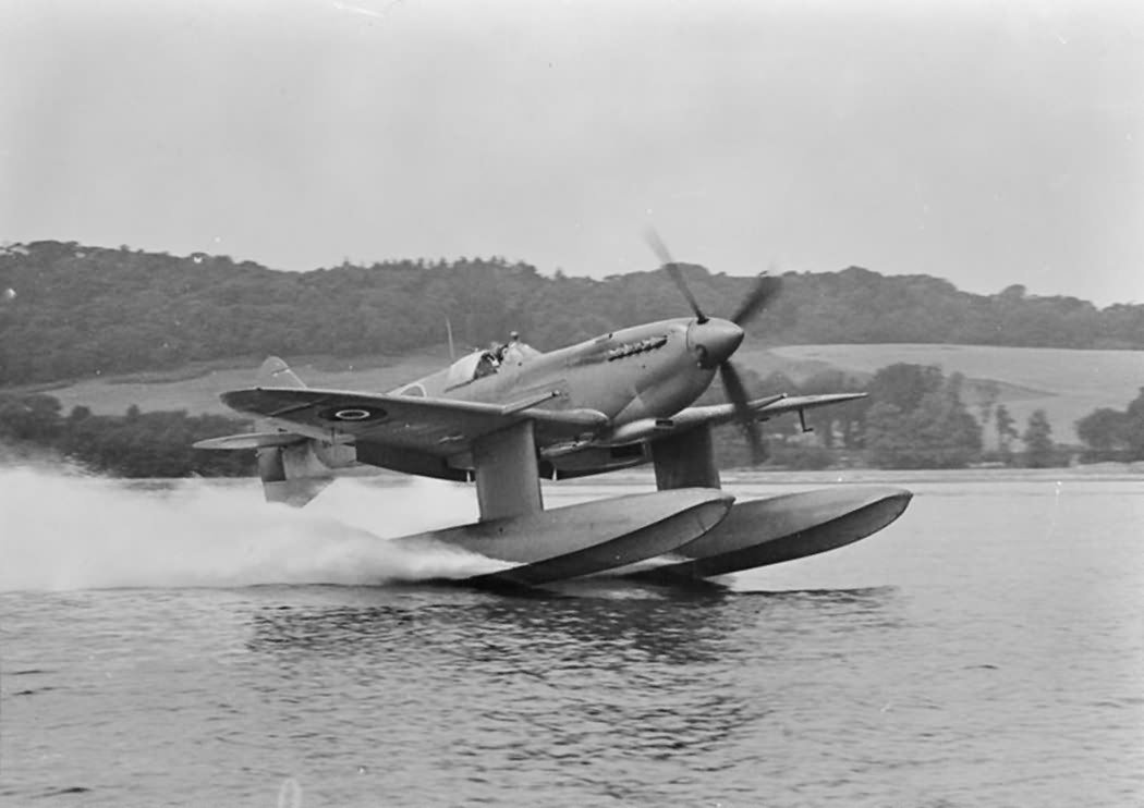 y5cq4vp907u21.jpg