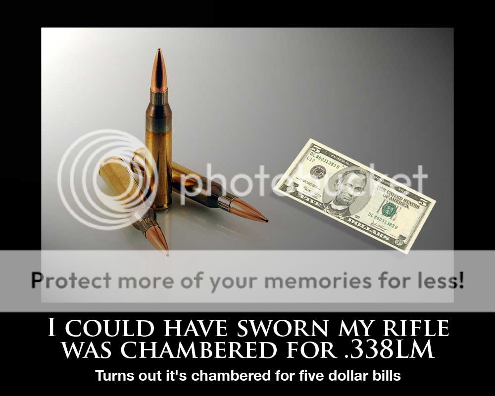 338LMjpg.jpg