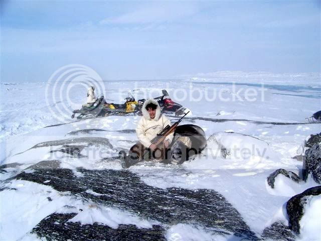 1-muskoxhunt3.jpg