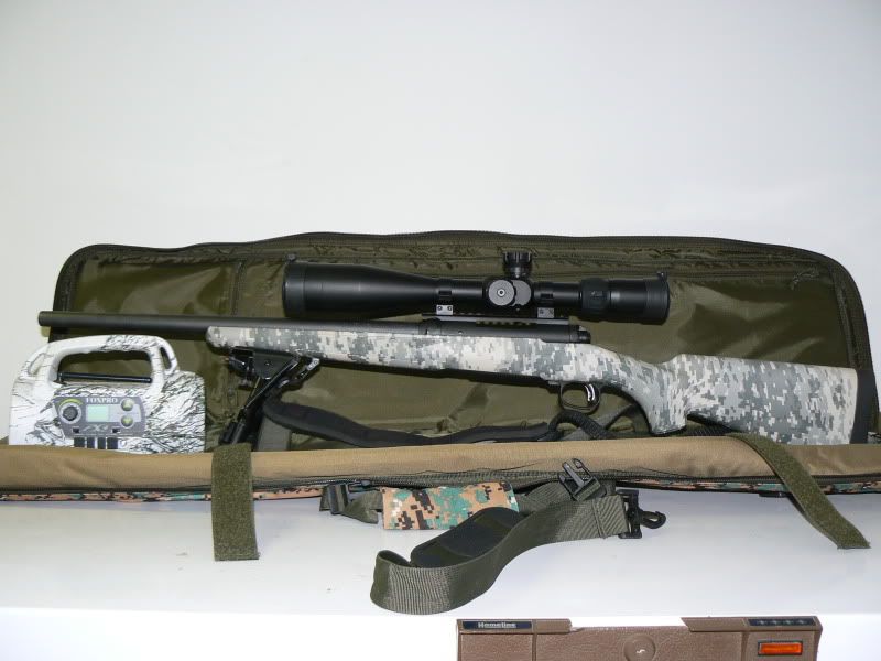 newguns002.jpg