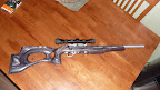 Ruger%201022.JPG