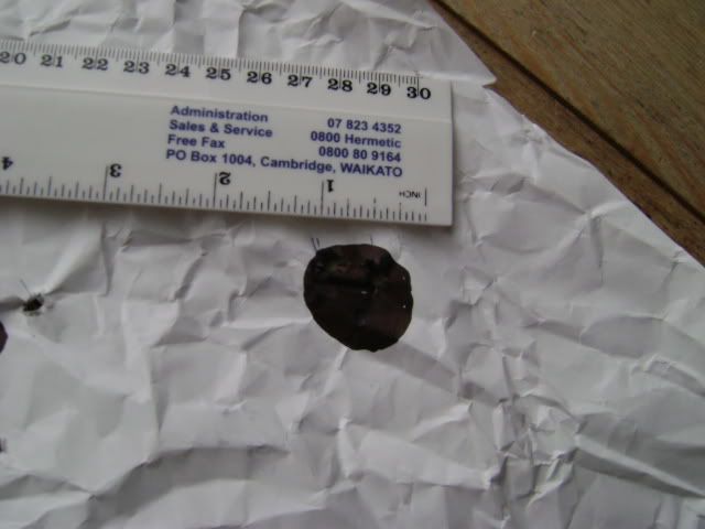 DSC00360.jpg