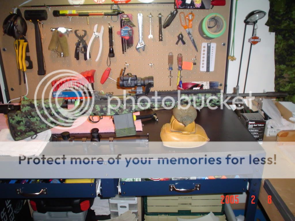 dsc051846rv.jpg
