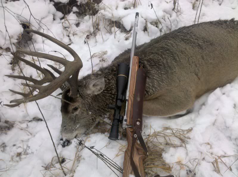 2011buck2.jpg