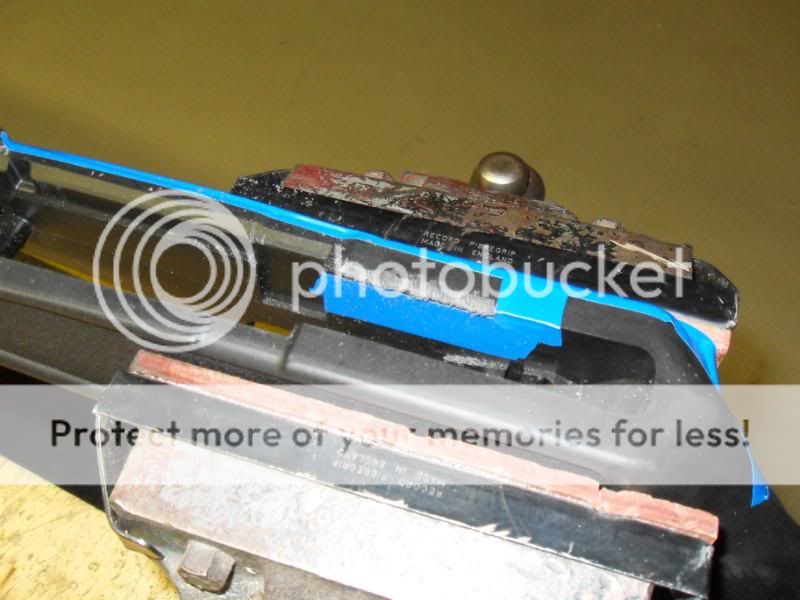SDC11695.jpg