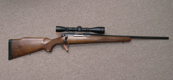 2Rem700Sp308mL.jpg