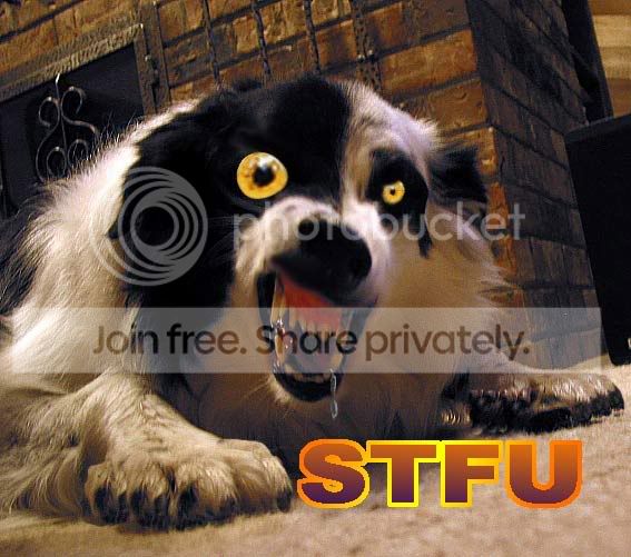 stfu.jpg
