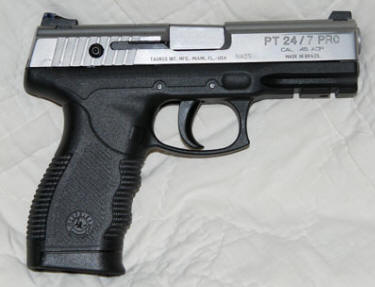 taurus45_R_web.jpg