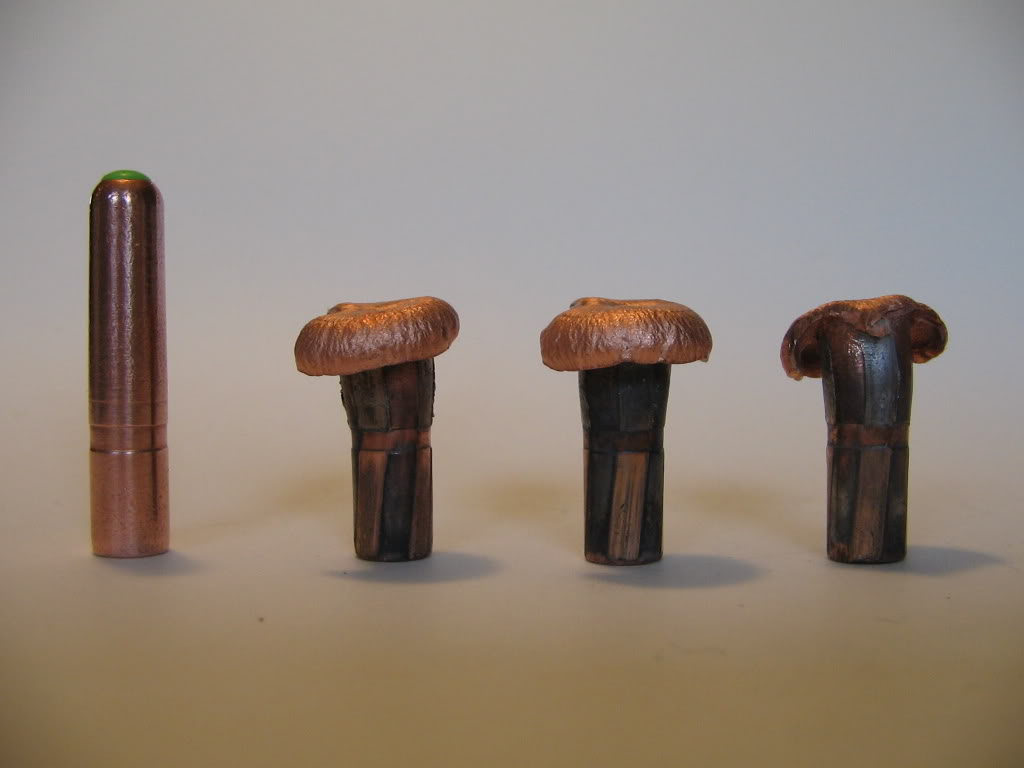 Lapua140gr-Naturalist.jpg