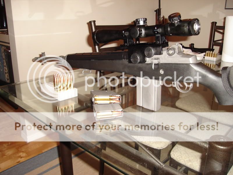 m14005.jpg