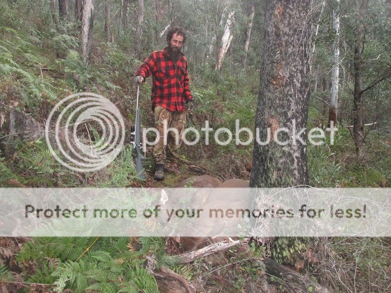 IMG_3265twohinds.jpg~original