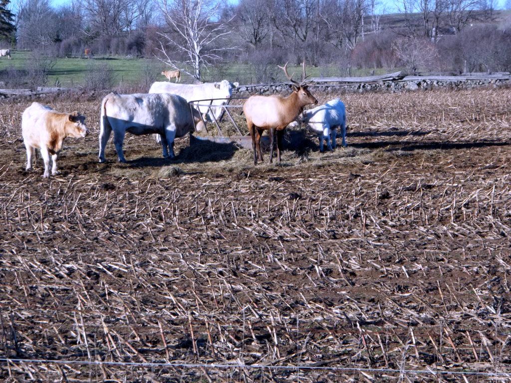 100_0306.jpg