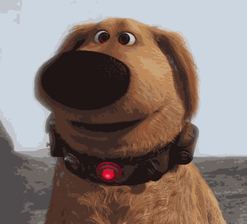 giphy.gif
