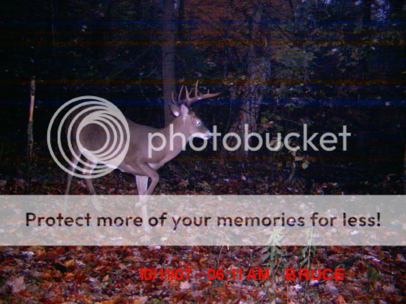 TrailcamDugOct07117.jpg