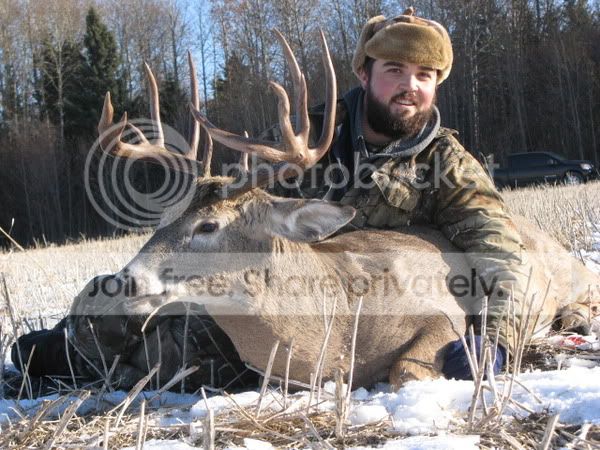 whitetail2009.jpg