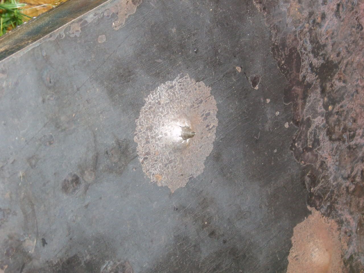 P7100174.jpg